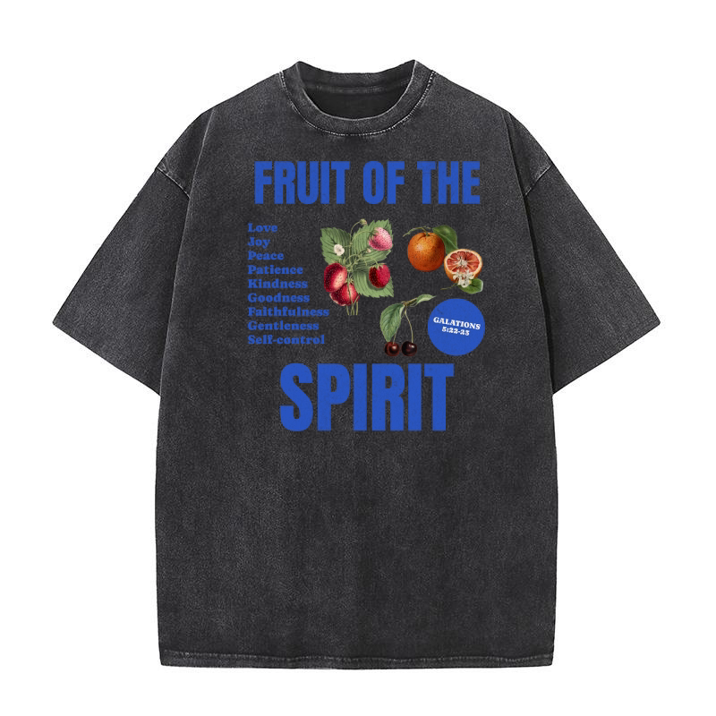fruit of The spirit Washed T-Shirt