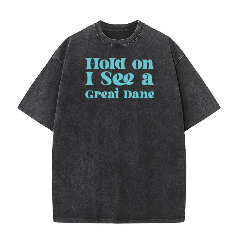 Hold on i see a Great Dane 67 Washed T-Shirt