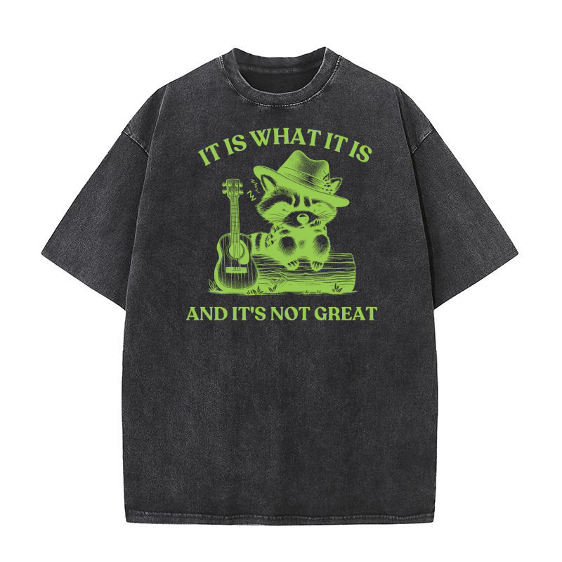 It is What It is And Its Not creat 04 Washed T-Shirt