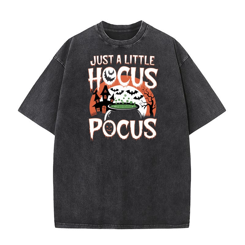 JUST A LITTLE HOCUS  POCUS Washed T-Shirt