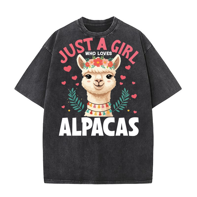 LLama 4 02 Washed T-Shirt