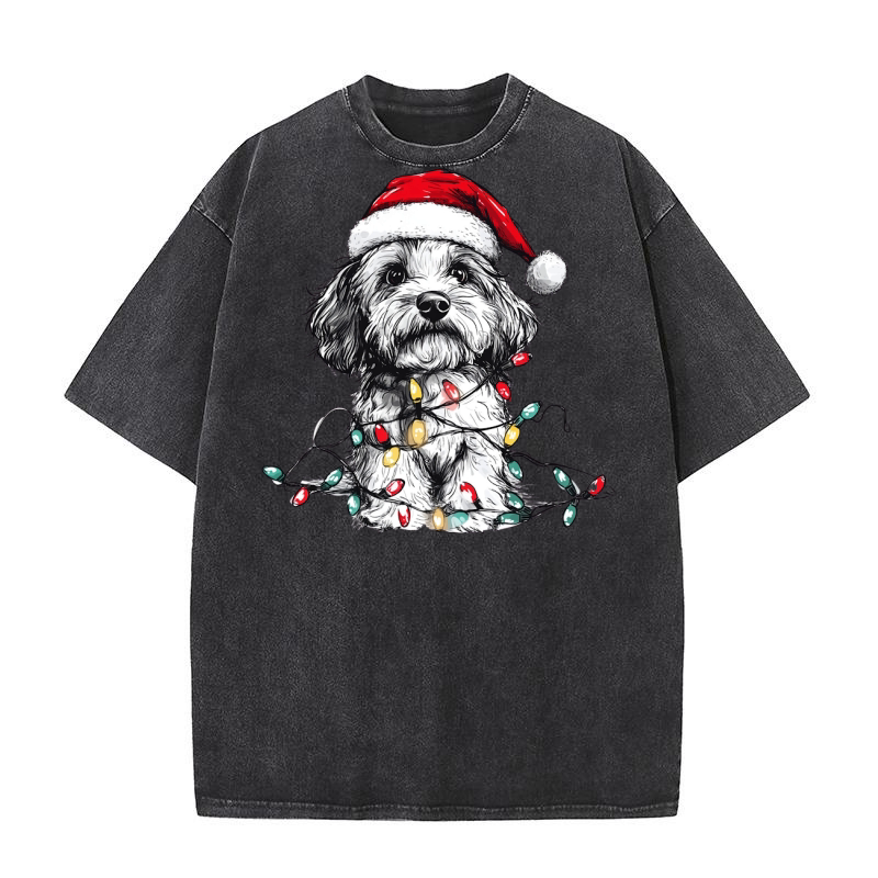 puppy in lights 2 Washed T-Shirt