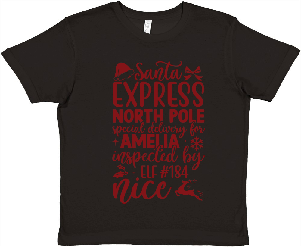 Santa express north pole special delivery for amelia Premium Kids Crewneck T-shirt