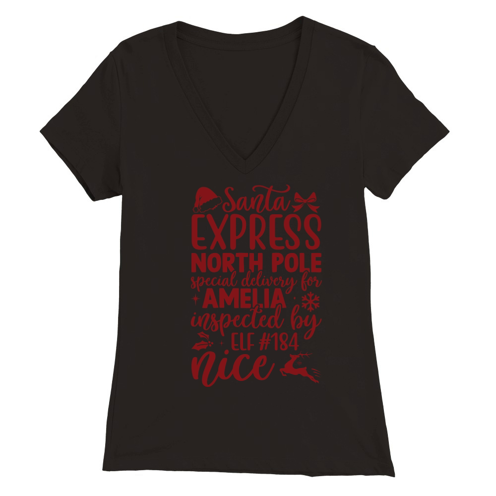 Santa express north pole special delivery for amelia Premium Womens V-Neck T-shirt