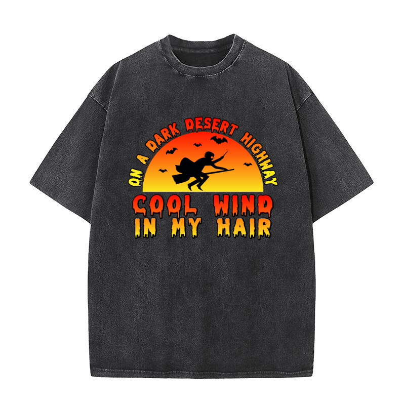 ON A DARK DESERT HIGHWAY COOL WIND IN MY HAIR Washed T-Shirt