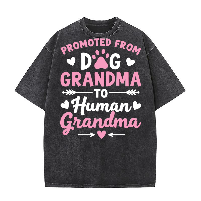 Promoted from dog grandma to human grandma Washed T-Shirt