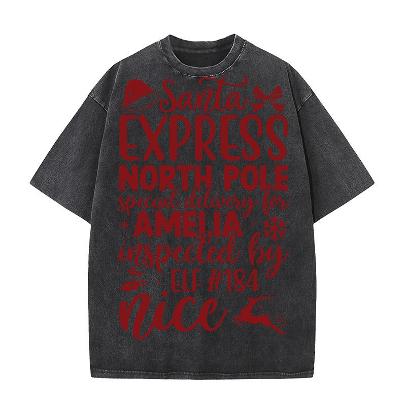 Santa express north pole special delivery for amelia Washed T-Shirt