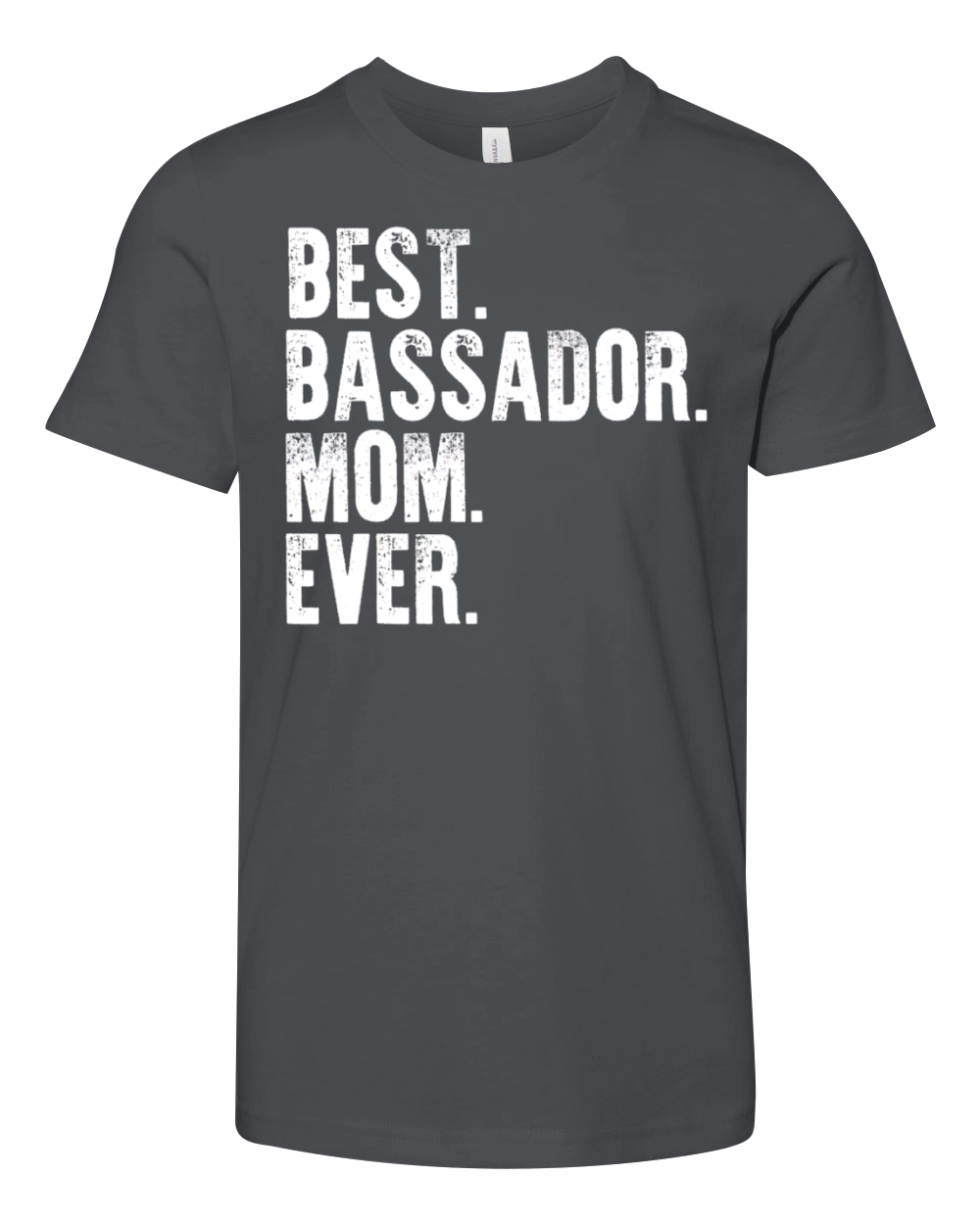 Best Bassador Mom Ever Funny Vintage Dog Mother Da Youth Unisex Jersey Tee