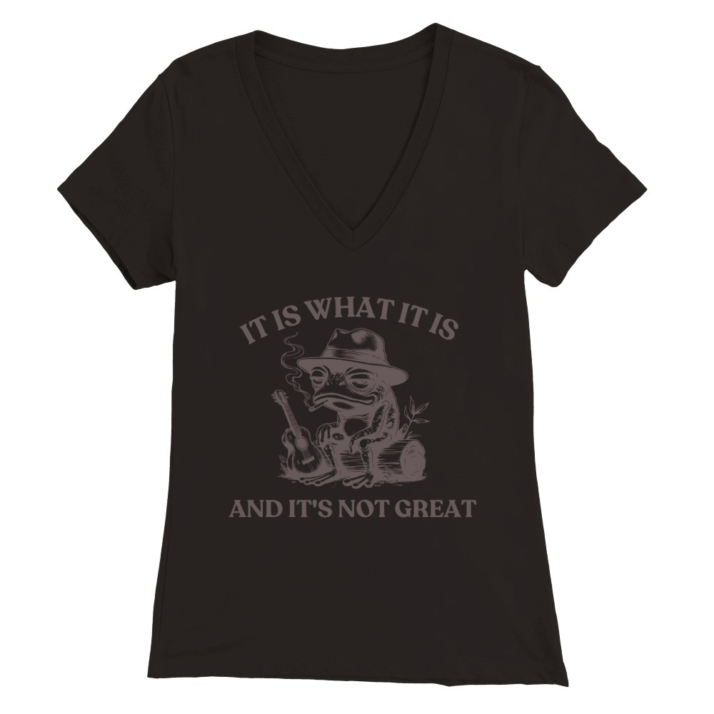 It is what it is and its not great Graphics 05 Premium Womens V-Neck T-shirt
