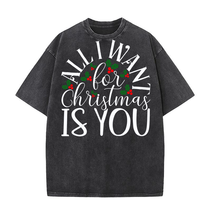 All I Want For Christmas Is You Washed T-Shirt