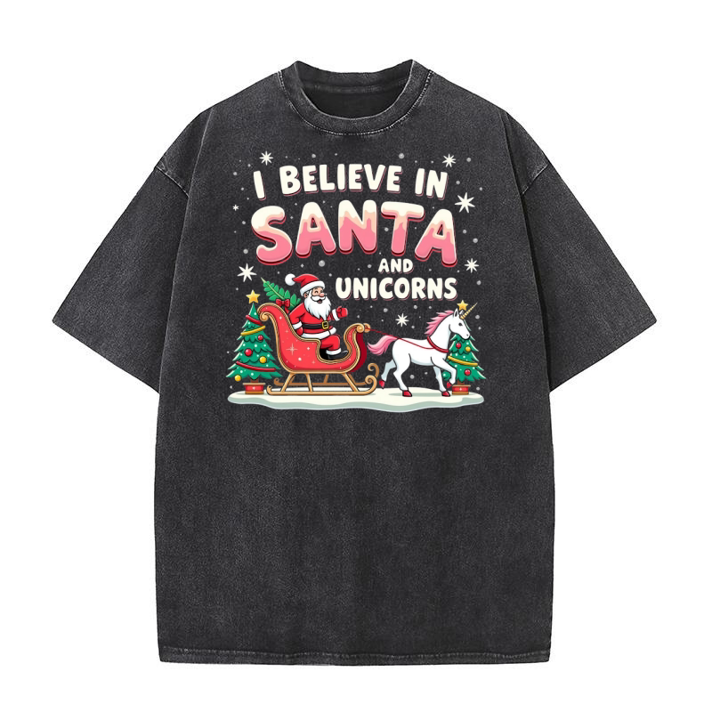 I Believe in santa and unicorns Washed T-Shirt