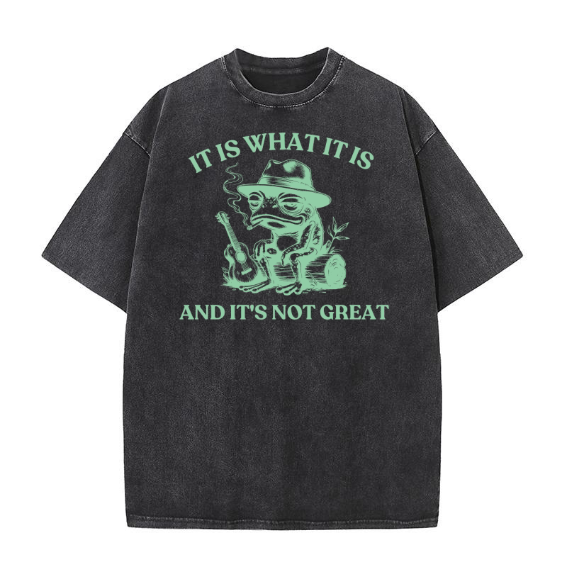 It is what it is and its not great Graphics 06 Washed T-Shirt