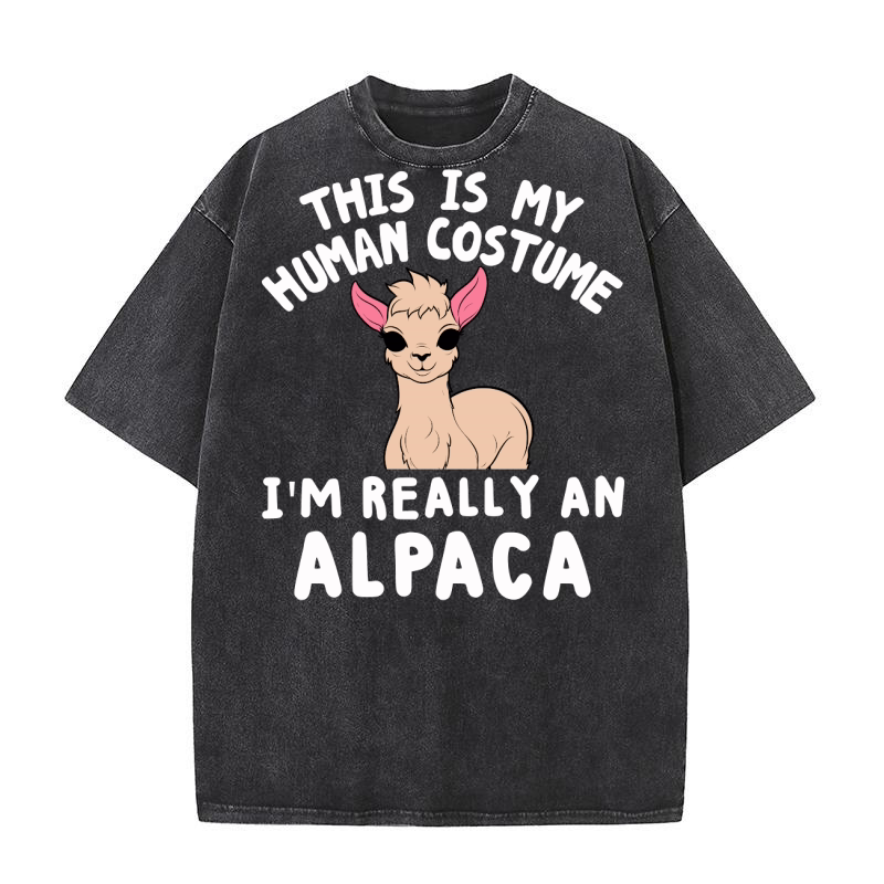 LLama 4 16 Washed T-Shirt