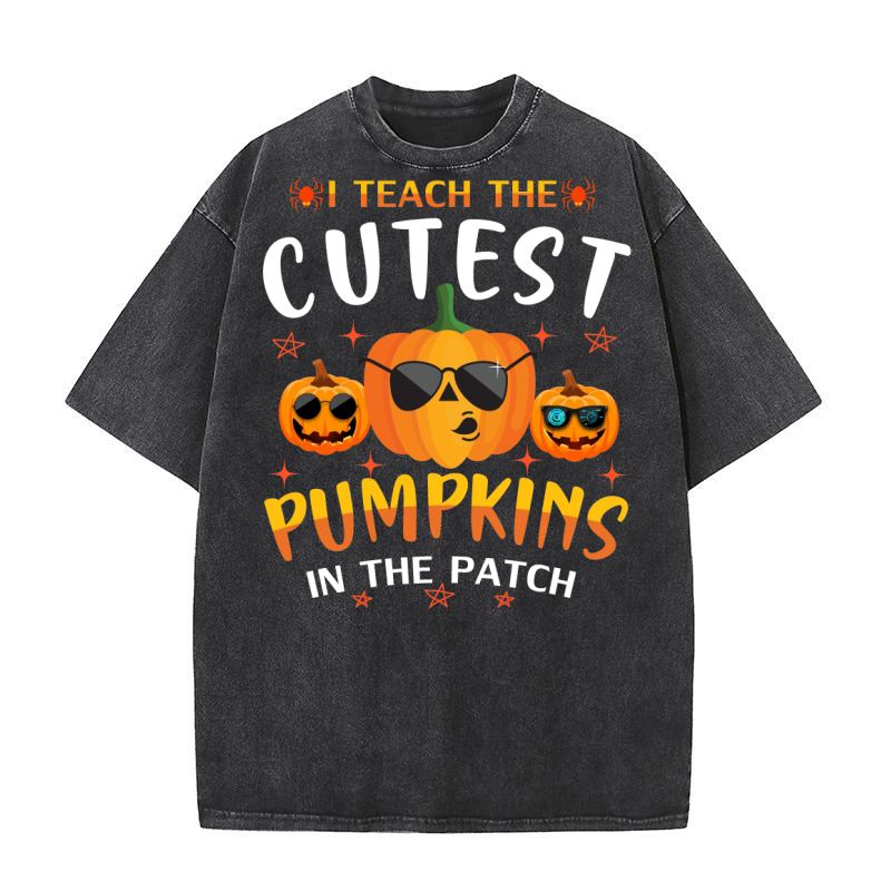 I teach the coolest Pumpkins In The Patch Washed T-Shirt