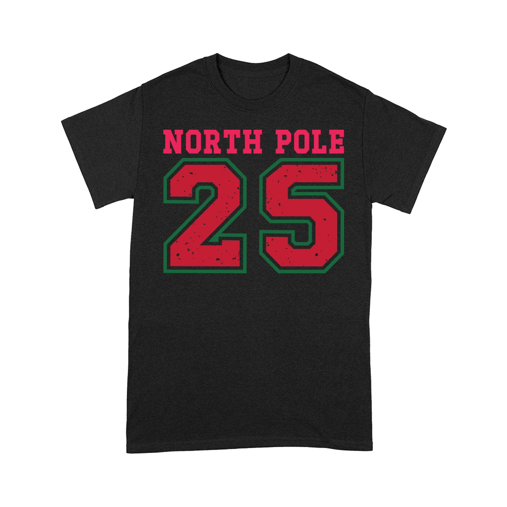 north pole 25 Comfort T-shirt