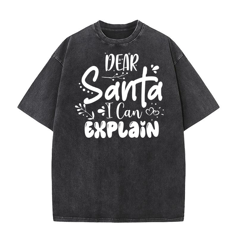Dear Santa, I Can Explain Washed T-Shirt