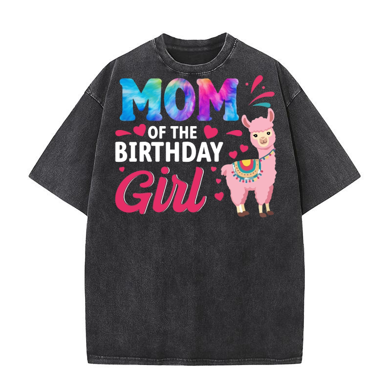 LLama 4 08 Washed T-Shirt