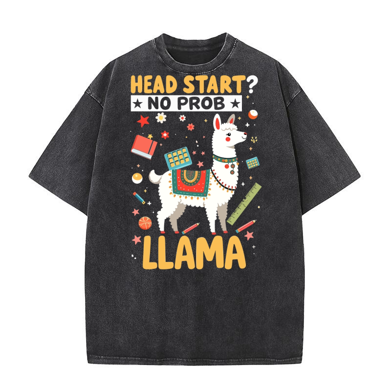 LLama (9) Washed T-Shirt