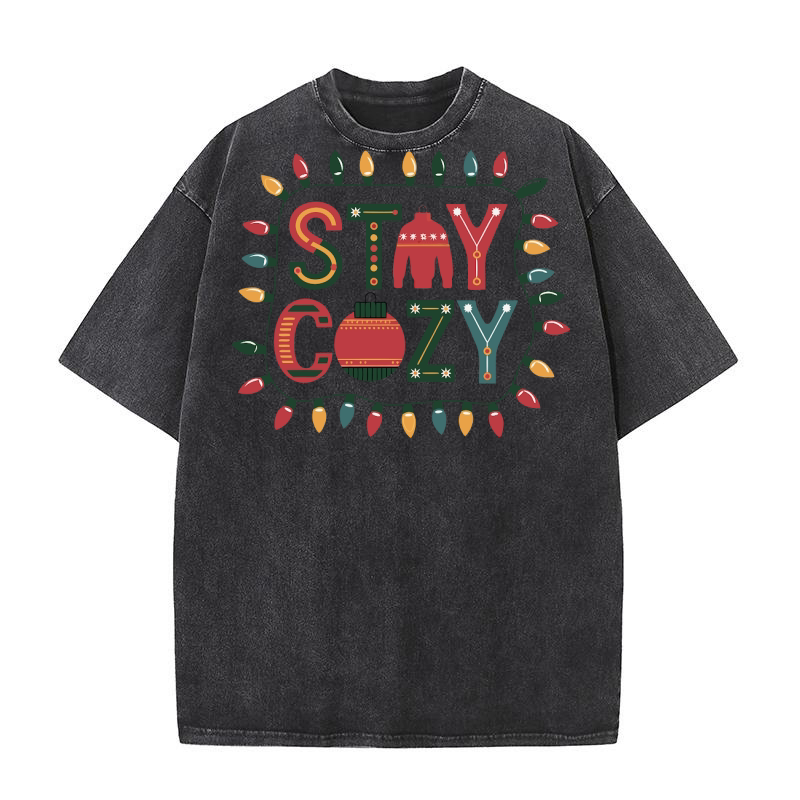 Stay Cozy 2 Washed T-Shirt