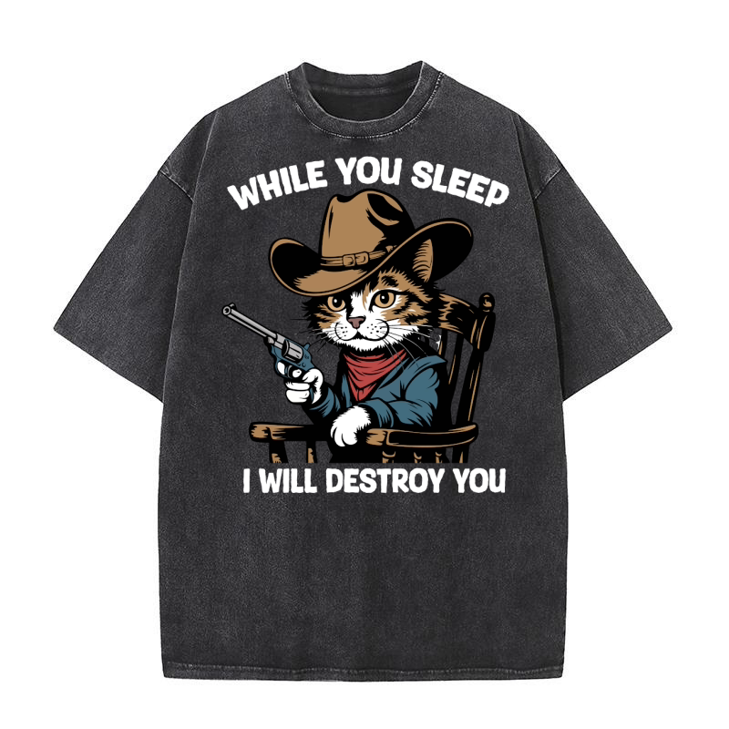 WHILE YOU SLEEP I WILL DESTROY YOU Washed T-Shirt