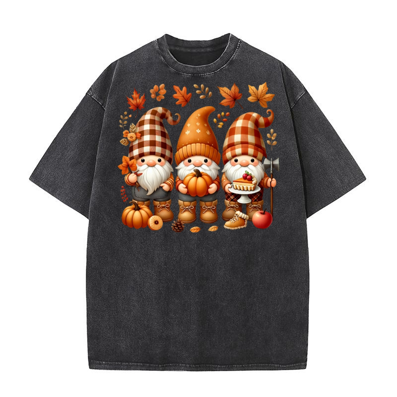 Gnomes Fall Washed T-Shirt