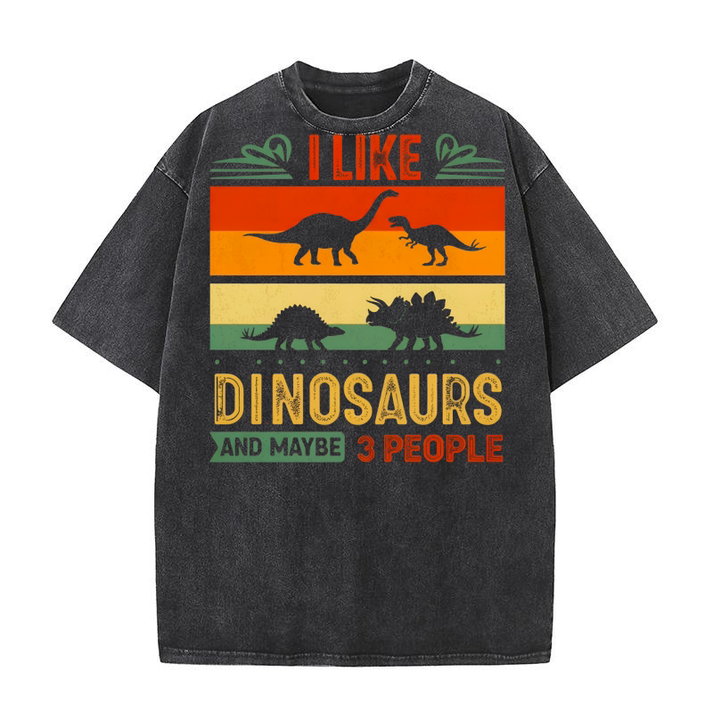 I Like Dinosaur And Maybe 3 People Washed T-Shirt