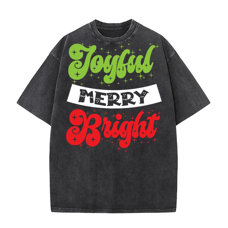 Joyful Merry Bright Washed T-Shirt