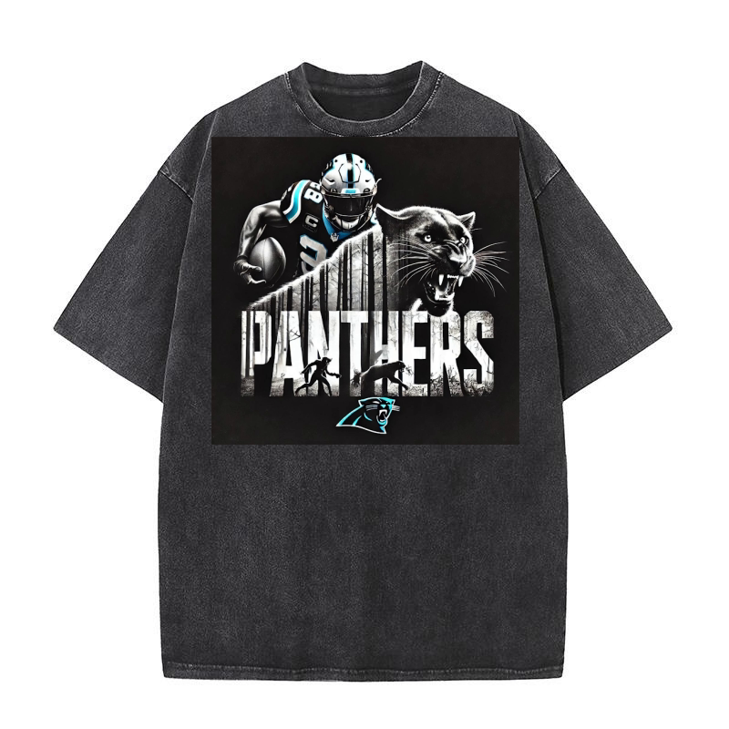 Panthers Washed T-Shirt