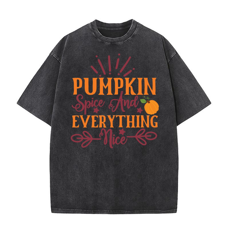 Pumpkin Spice And Everything Nice Washed T-Shirt