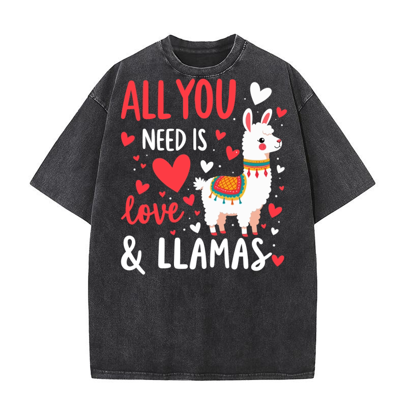 LLama (4) Washed T-Shirt
