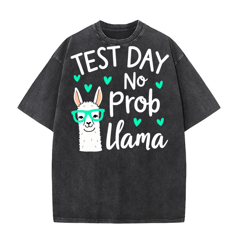 Test day no prob llama Washed T-Shirt