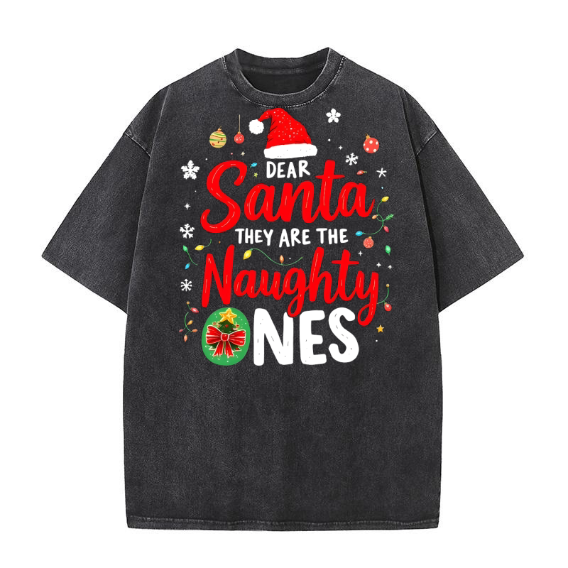 Dear Santa they are the naughty ones Washed T-Shirt