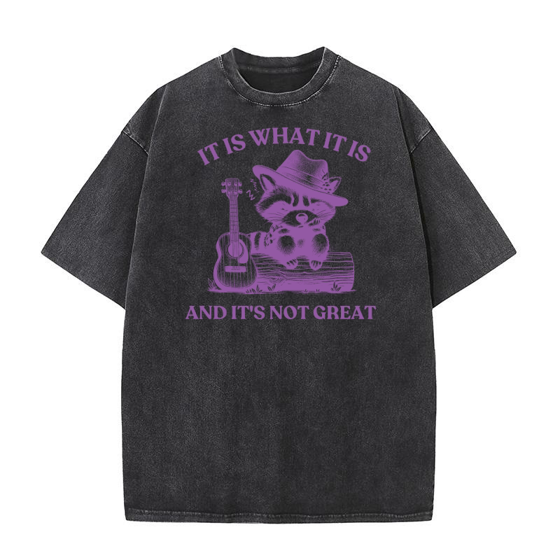 It is What It is And Its Not creat 11 Washed T-Shirt