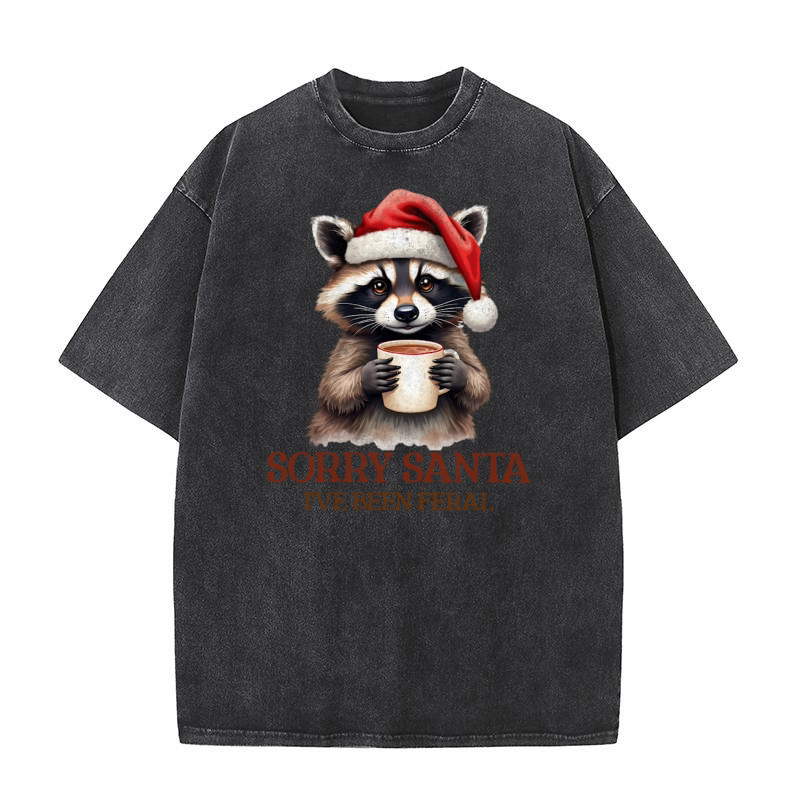 Sorry santa ive been feral 1 Washed T-Shirt