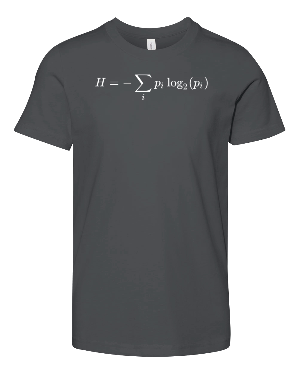 Information theory math and physics formula Youth Unisex Jersey Tee