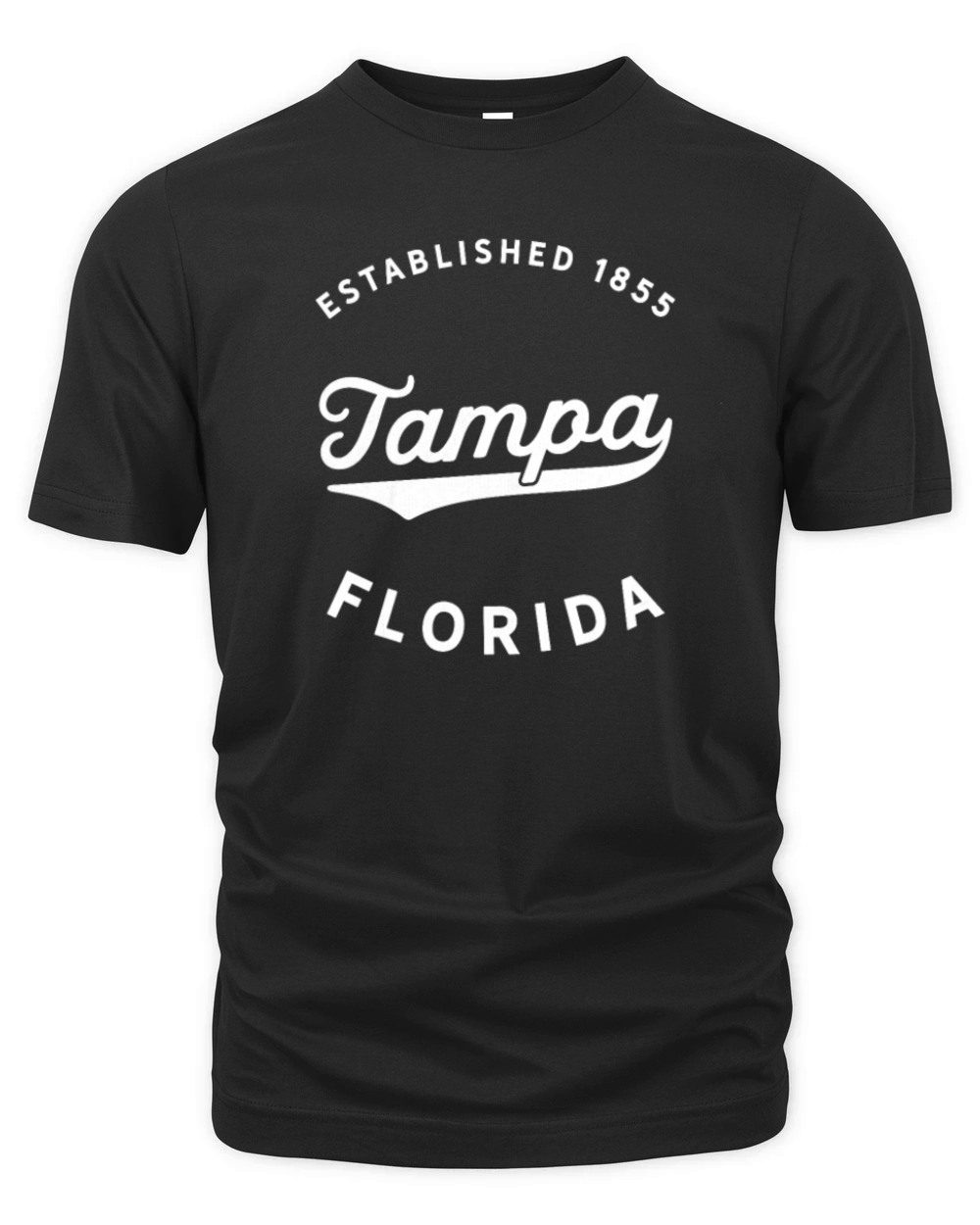Classic Retro Vintage Tampa Florida Gift Organic Unisex T-shirt