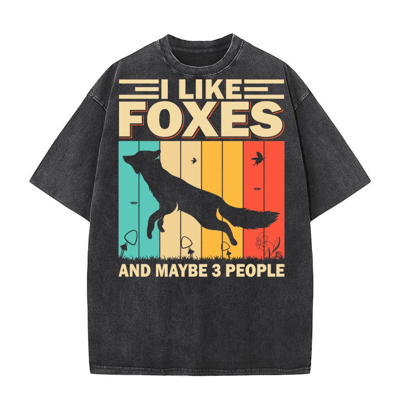 I Like Foxes and Maybe 3 People 02 Washed T-Shirt