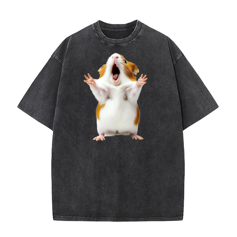 Guinea Pig (3) Washed T-Shirt