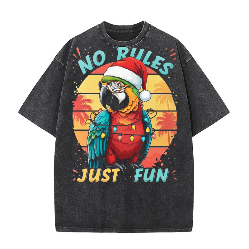 No Rules Just Fun Tropical Washed T-Shirt