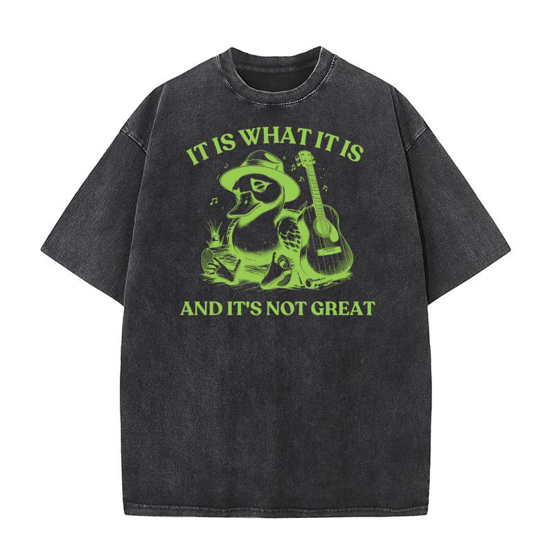 It is What It is And Its Not great 22 Washed T-Shirt