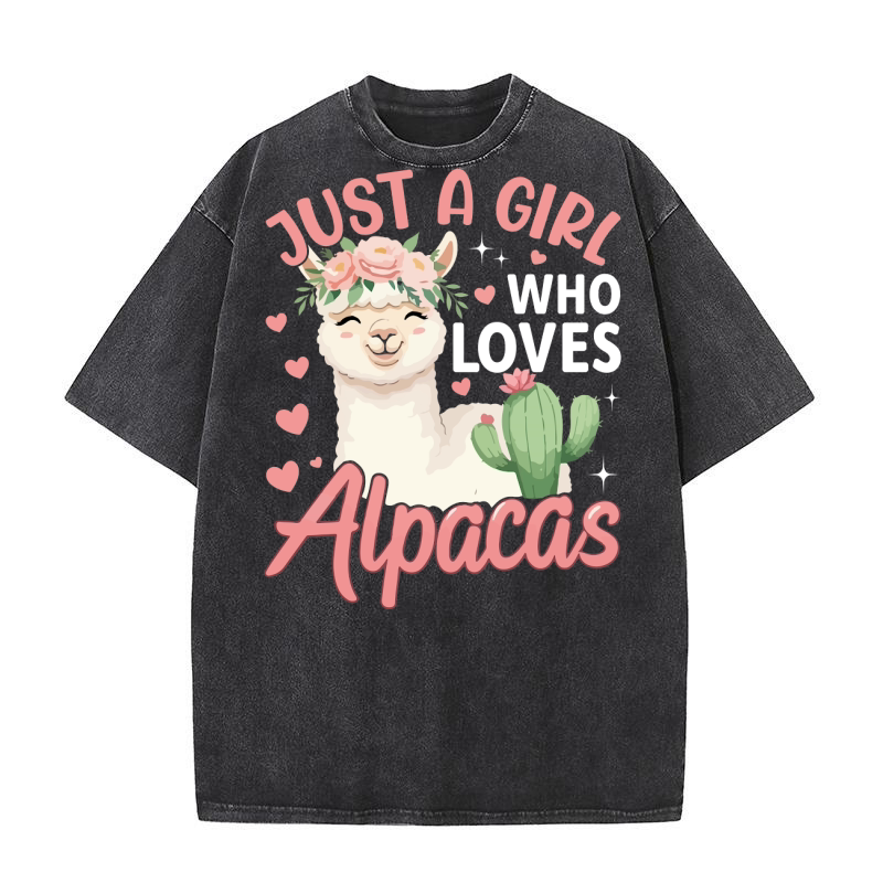 LLama 4 06 Washed T-Shirt