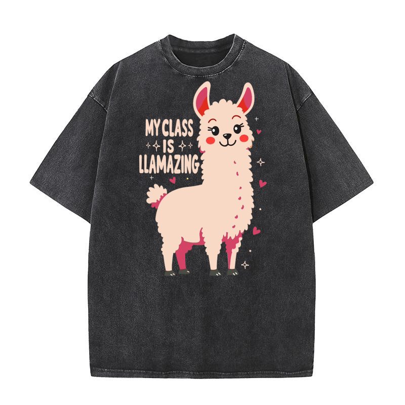 My class is llamazing Washed T-Shirt