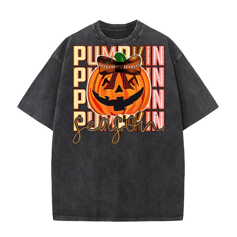 Pumpkin Season 7 Washed T-Shirt