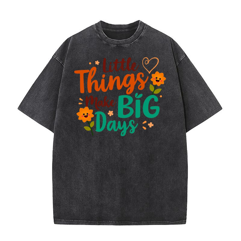 Little Things Make Big Days 2 Washed T-Shirt