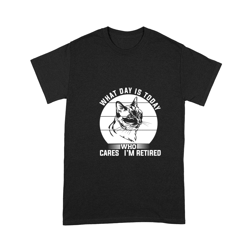 What day is today Who cares im retired 02 Comfort T-shirt