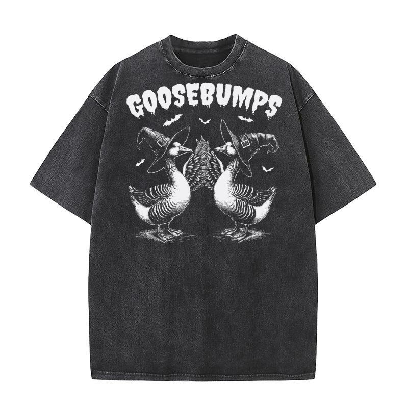 0502 Goosebumps Halloween Witch Goose D White Washed T-Shirt