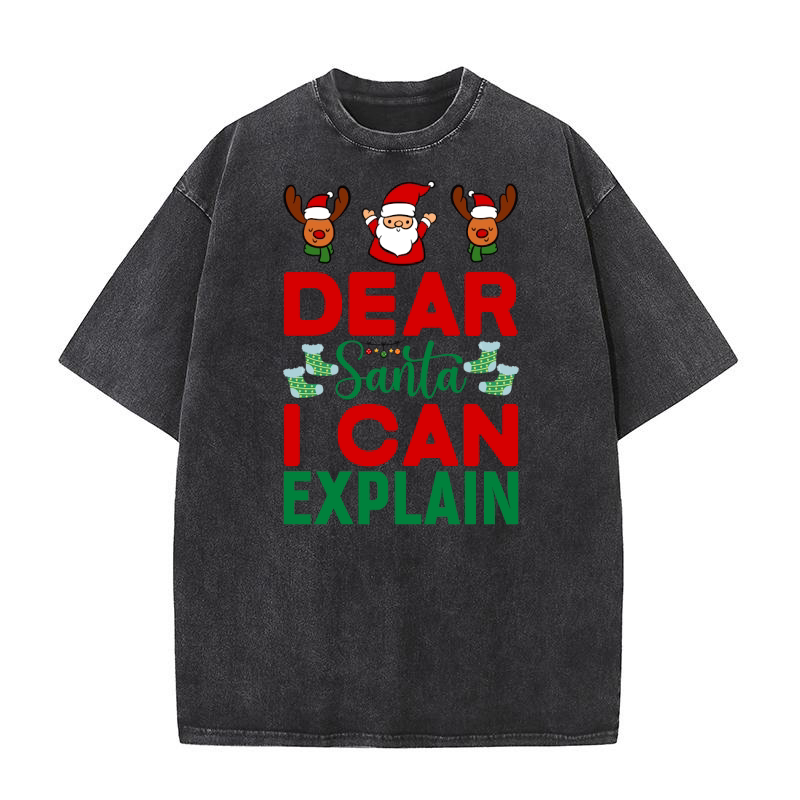 Dear Santa i Can Explain 4 Washed T-Shirt