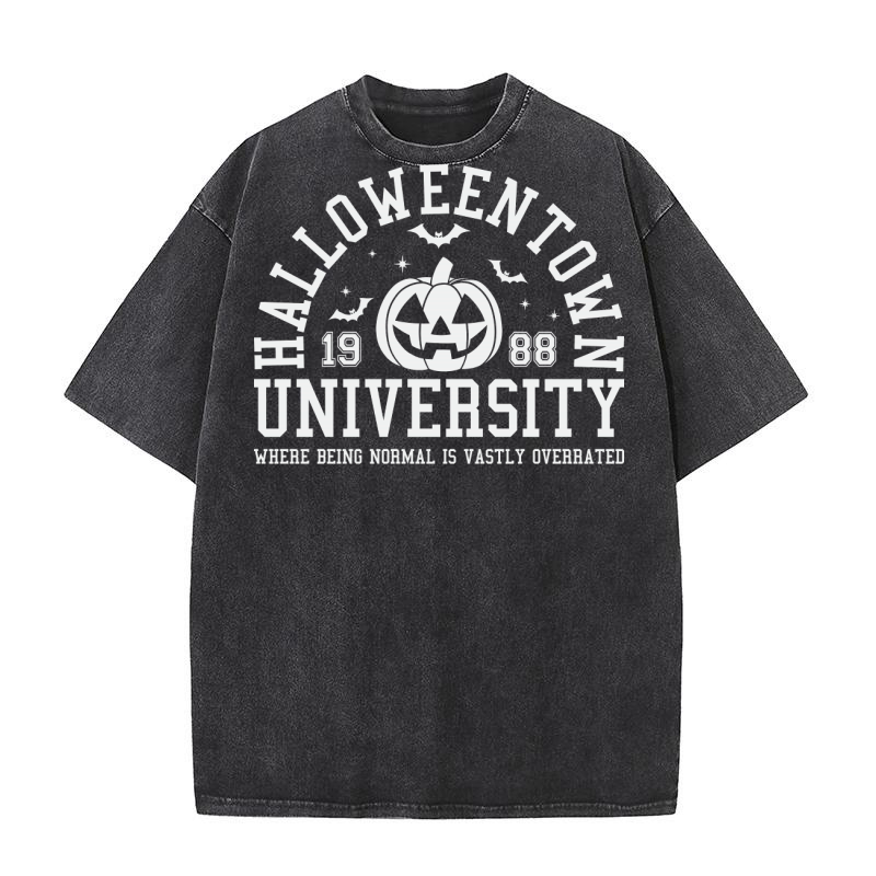 HalloweenTown University 1988 Washed T-Shirt