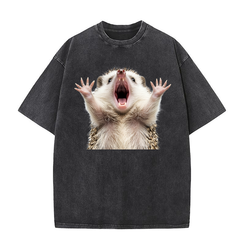 Hedgehog (1) Washed T-Shirt