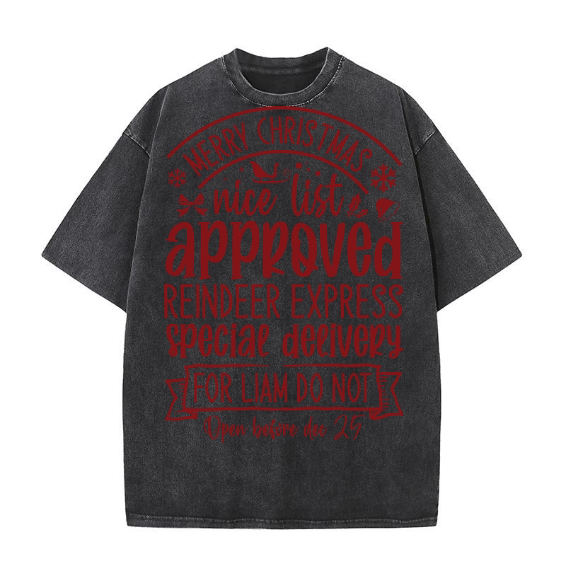 Merry christmas nice list approved Washed T-Shirt